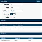 how to work out my bet winnings